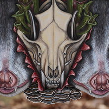 Load image into Gallery viewer, Together in Metamorphosis - Opossums