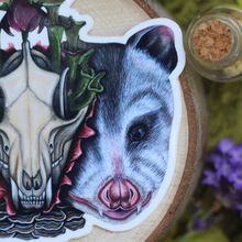 Load image into Gallery viewer, Together in Metamorphosis Opossums Sticker - 3 x 2.5 inches
