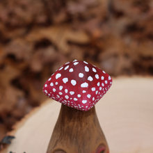 Load image into Gallery viewer, Red Mushroom Pal
