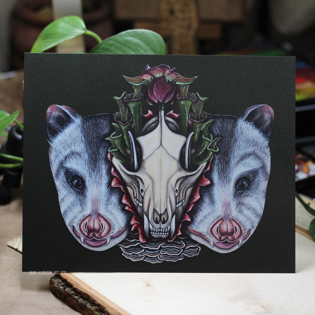 Together in Metamorphosis Opossums 10x8 print